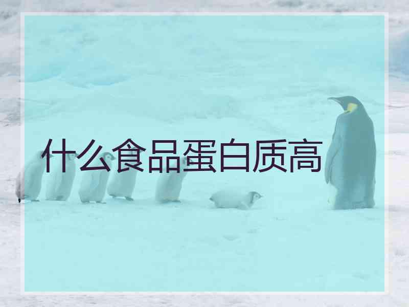 什么食品蛋白质高