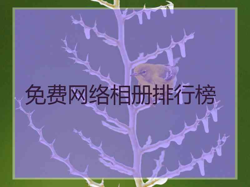 免费网络相册排行榜