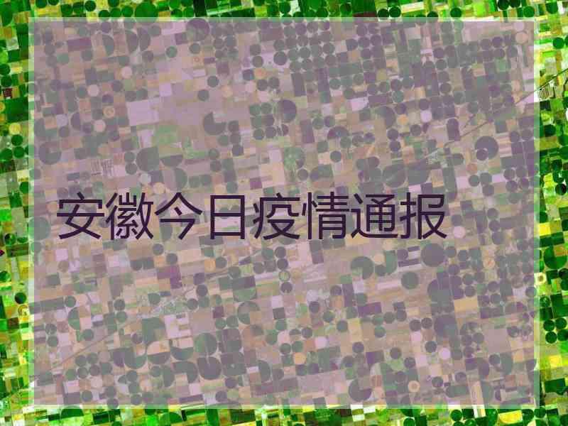 安徽今日疫情通报