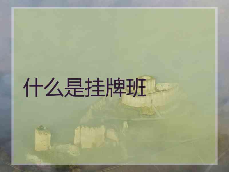 什么是挂牌班