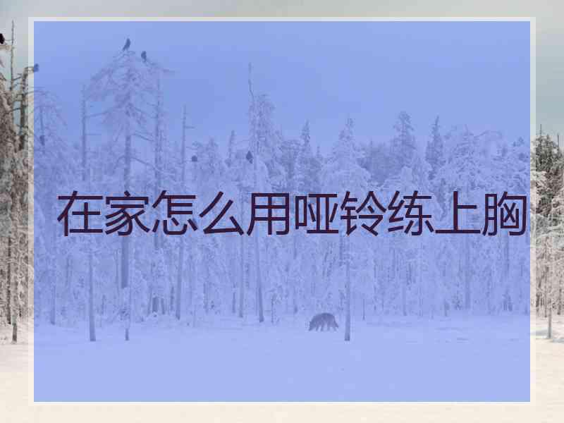 在家怎么用哑铃练上胸