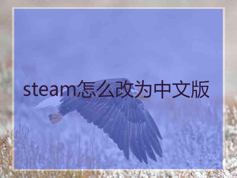 steam怎么改为中文版