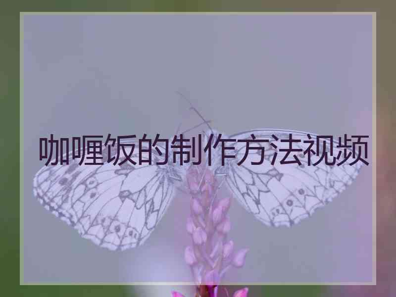 咖喱饭的制作方法视频