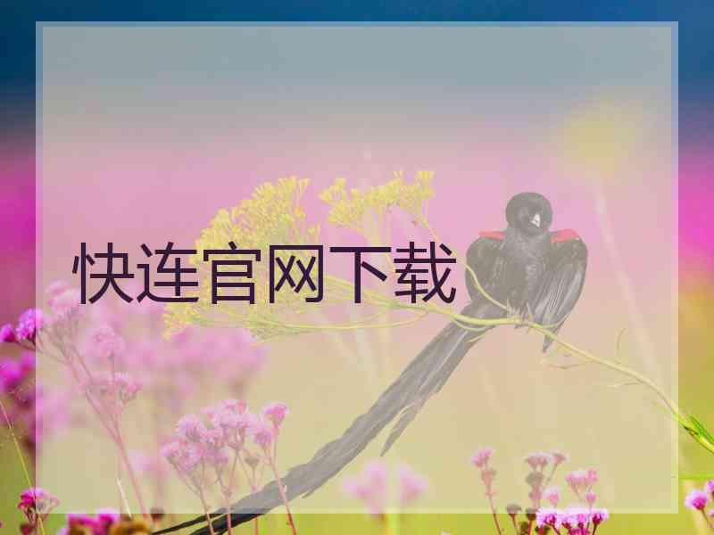 快连官网下载