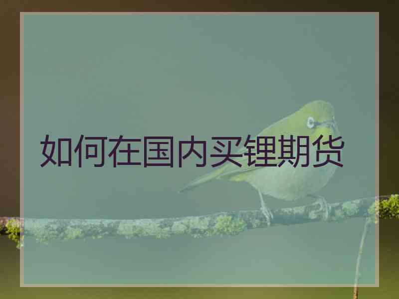 如何在国内买锂期货