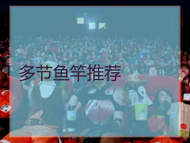 多节鱼竿推荐