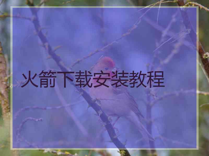 火箭下载安装教程