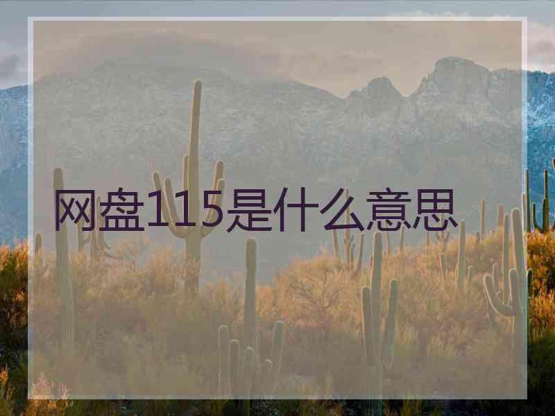 网盘115是什么意思