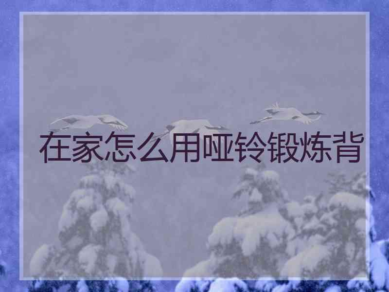 在家怎么用哑铃锻炼背