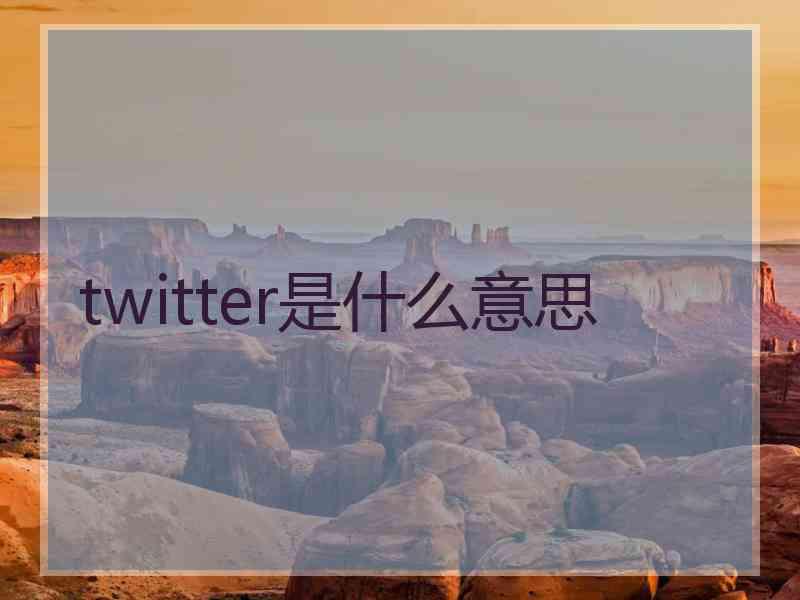 twitter是什么意思