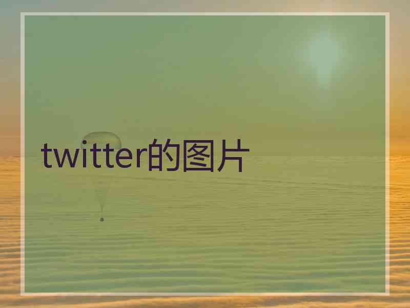 twitter的图片