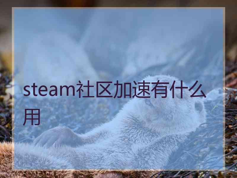 steam社区加速有什么用