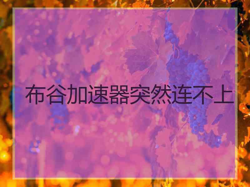布谷加速器突然连不上