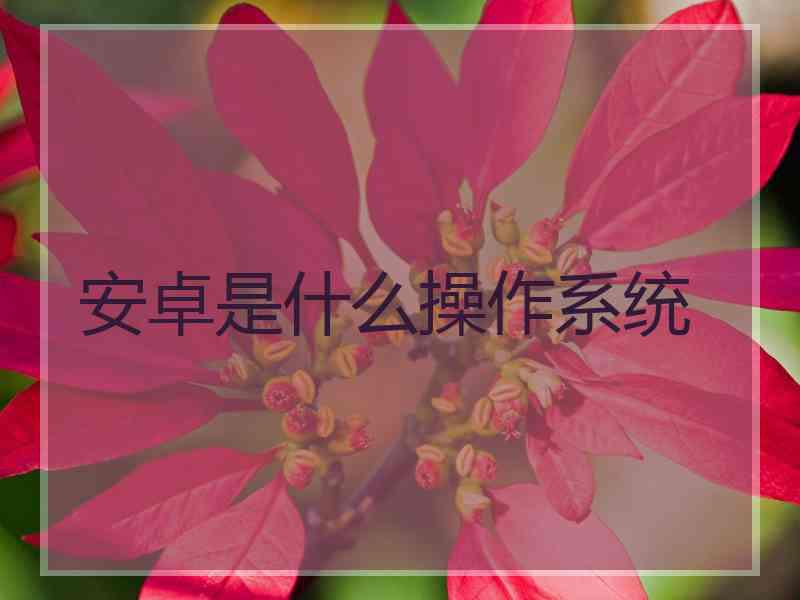 安卓是什么操作系统