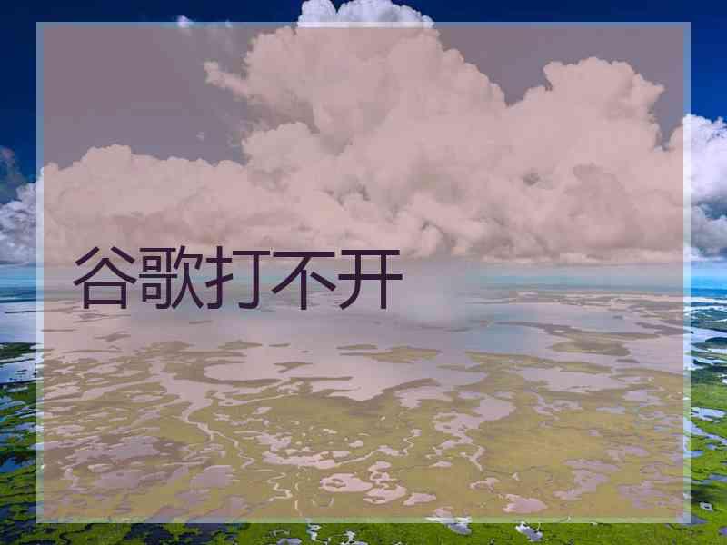 谷歌打不开