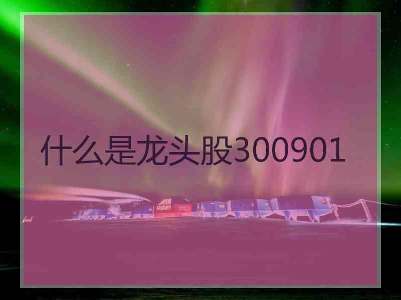 什么是龙头股300901