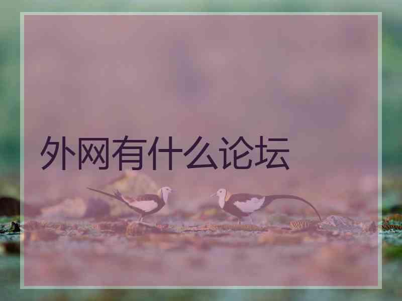 外网有什么论坛