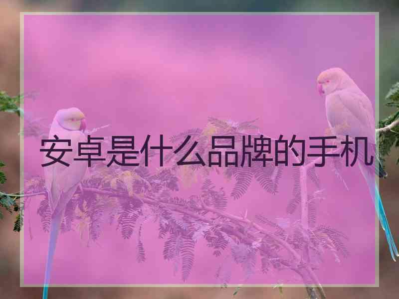 安卓是什么品牌的手机