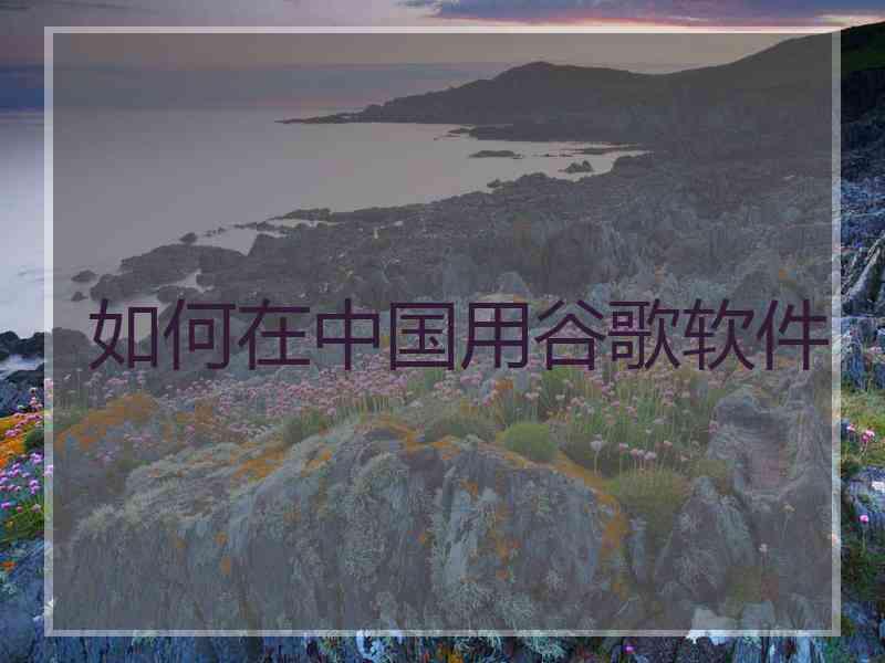 如何在中国用谷歌软件