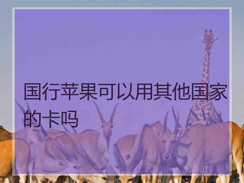 国行苹果可以用其他国家的卡吗