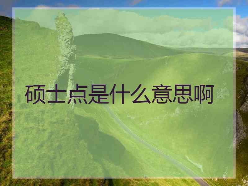 硕士点是什么意思啊