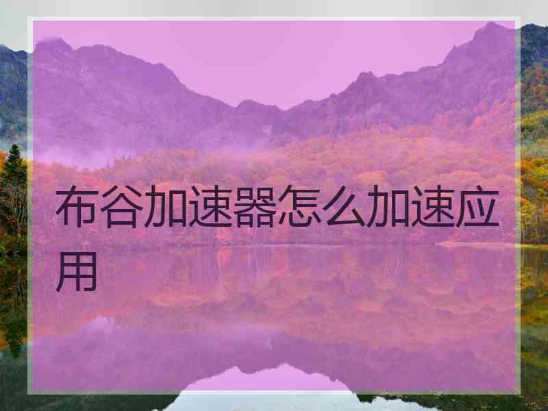布谷加速器怎么加速应用