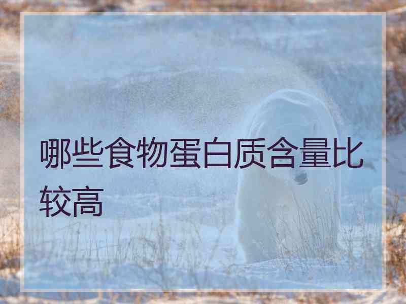哪些食物蛋白质含量比较高