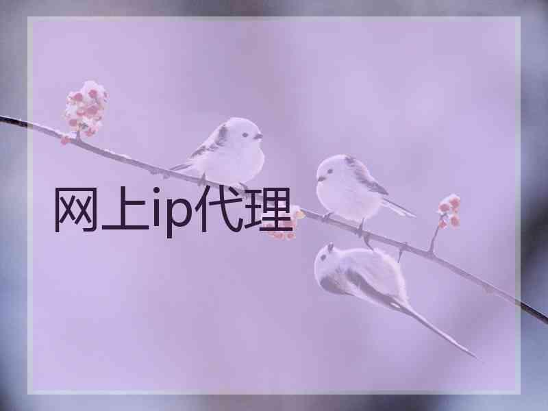 网上ip代理
