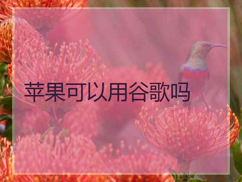 苹果可以用谷歌吗