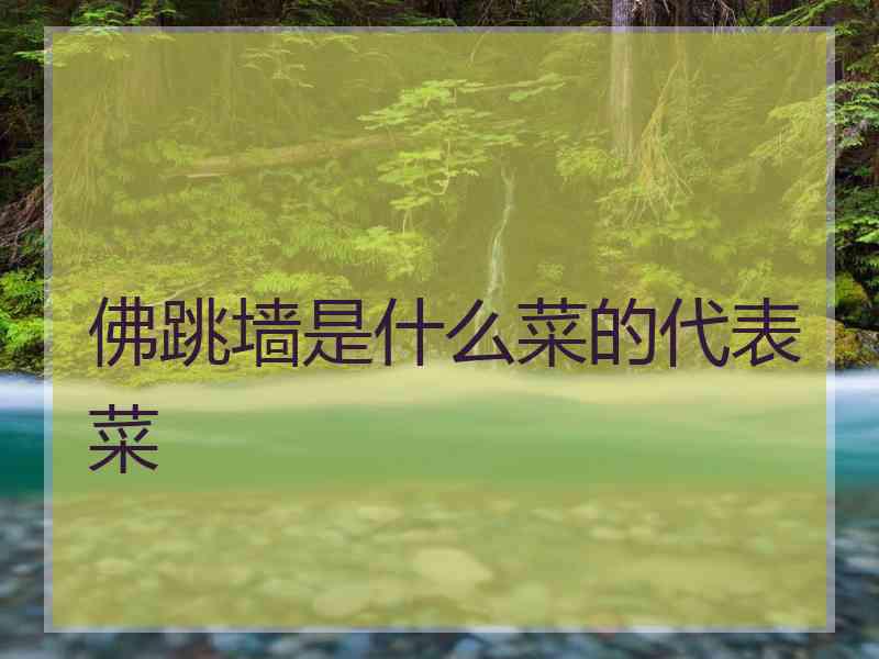 佛跳墙是什么菜的代表菜