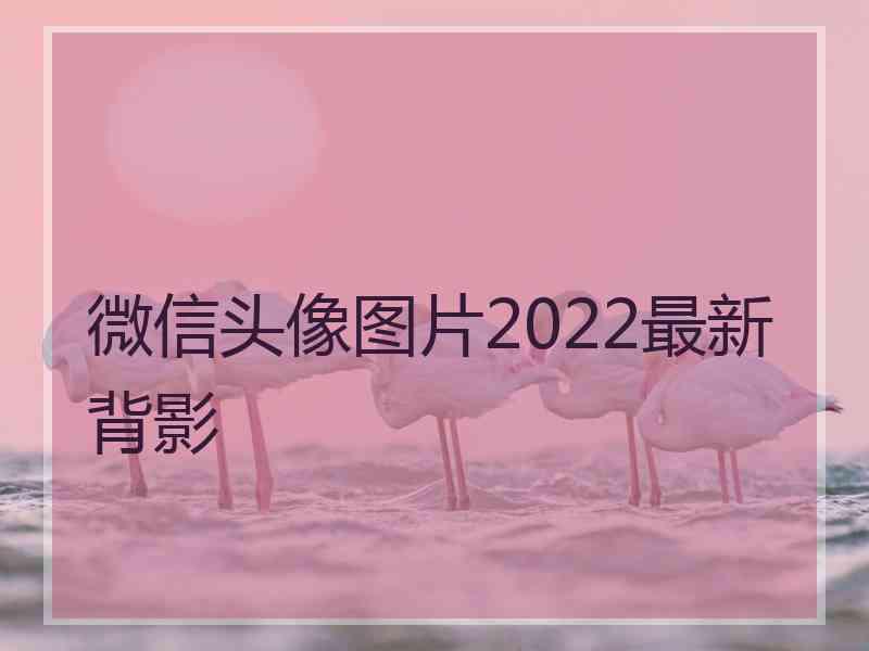 微信头像图片2022最新背影