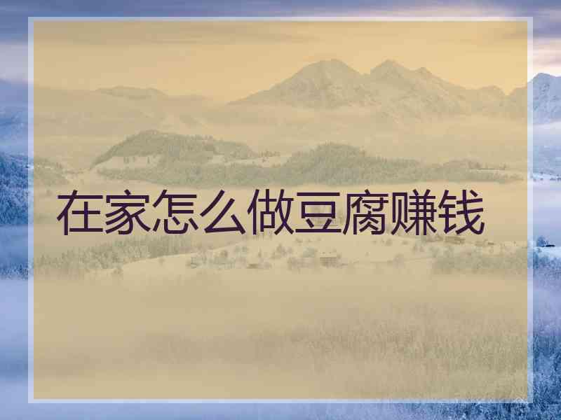 在家怎么做豆腐赚钱