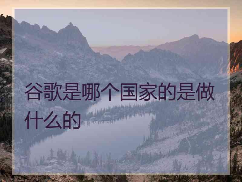 谷歌是哪个国家的是做什么的