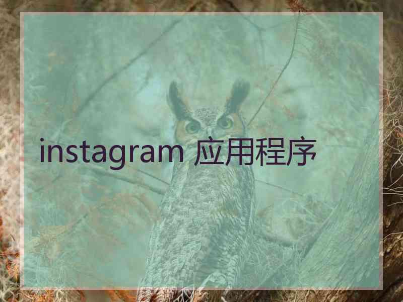 instagram 应用程序