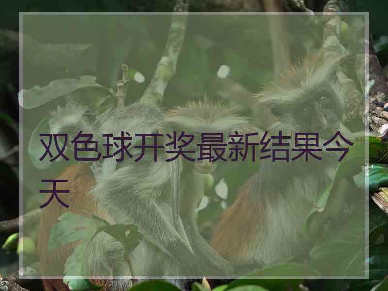双色球开奖最新结果今天