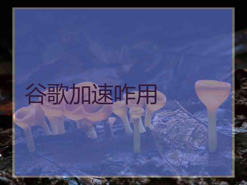 谷歌加速咋用