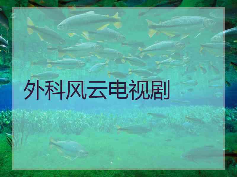外科风云电视剧