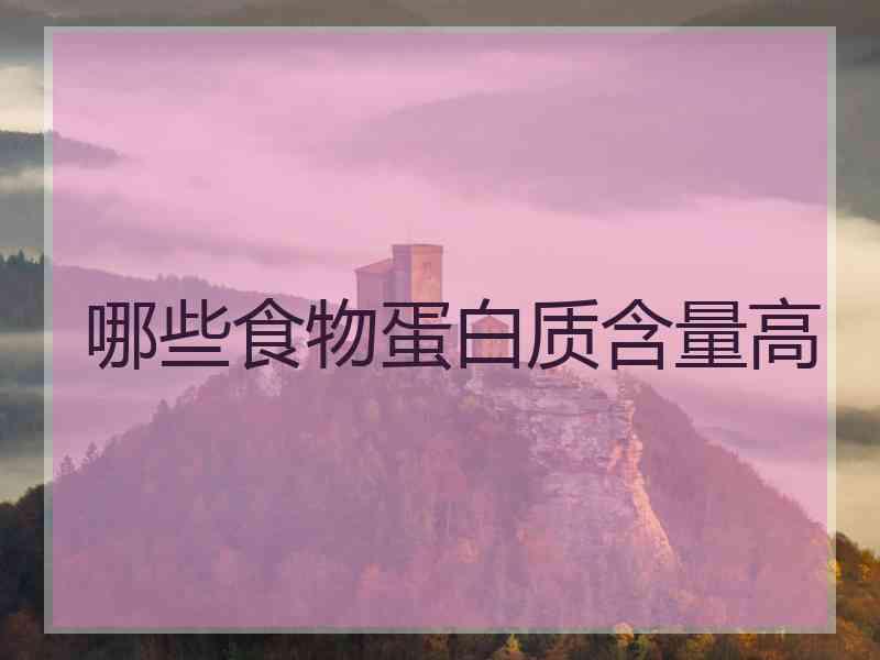 哪些食物蛋白质含量高