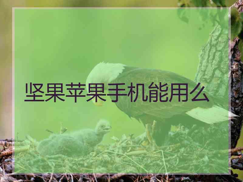 坚果苹果手机能用么