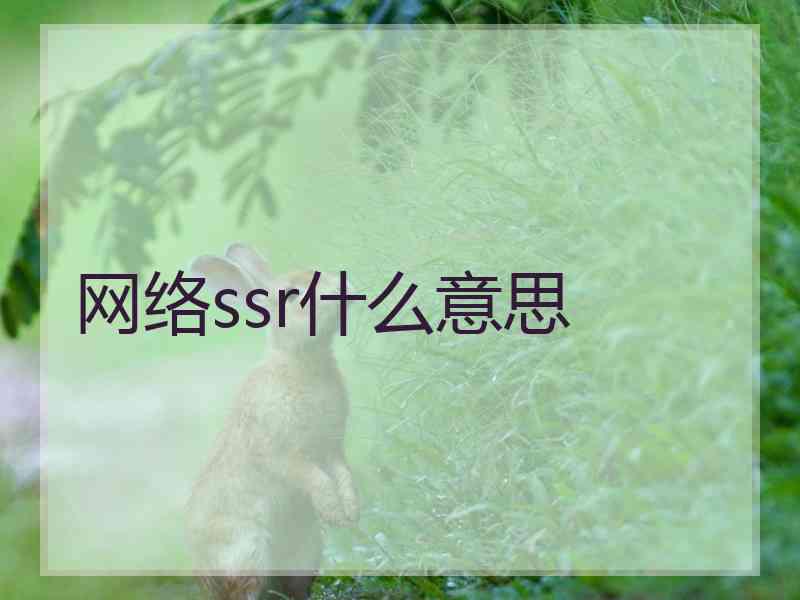 网络ssr什么意思