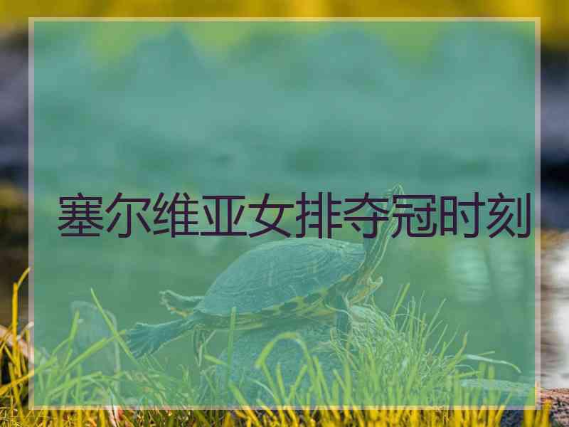 塞尔维亚女排夺冠时刻