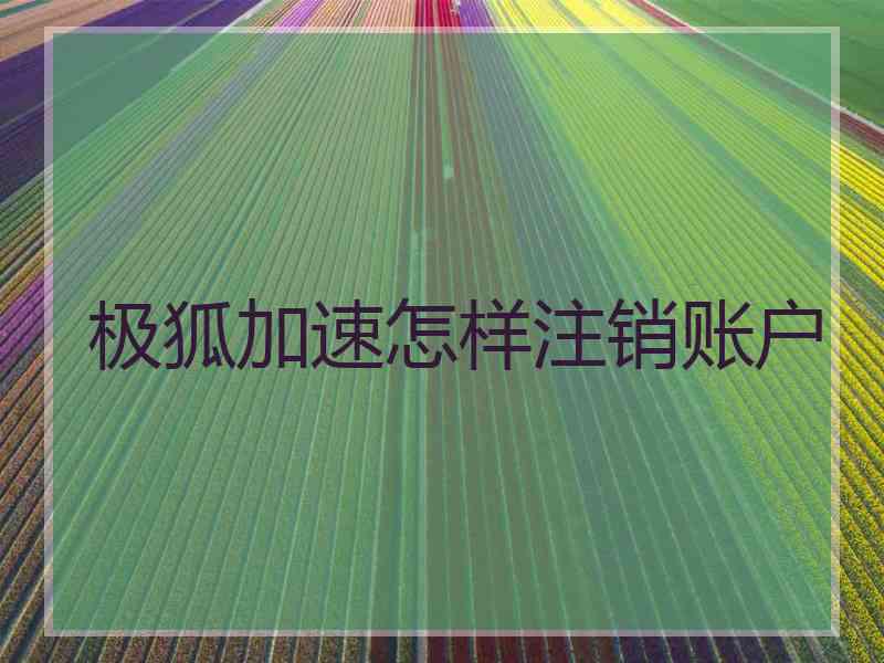 极狐加速怎样注销账户