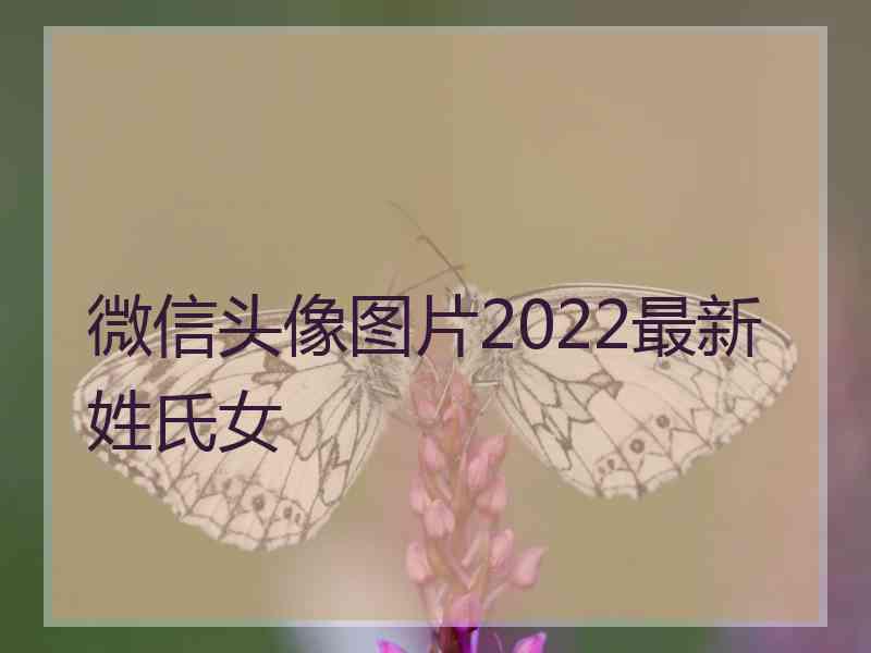 微信头像图片2022最新姓氏女