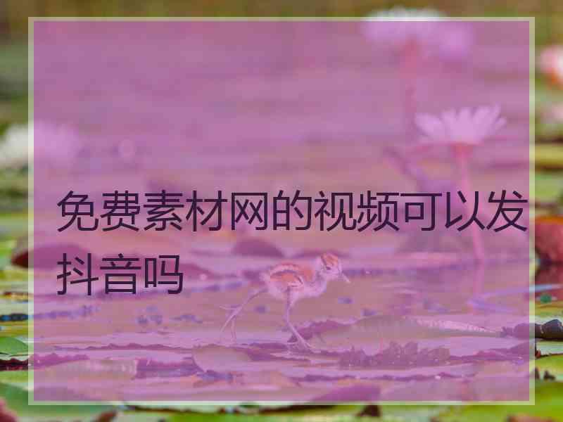 免费素材网的视频可以发抖音吗