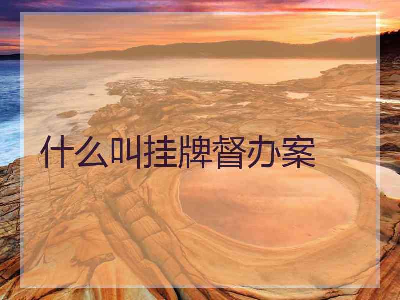 什么叫挂牌督办案
