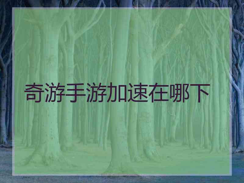 奇游手游加速在哪下