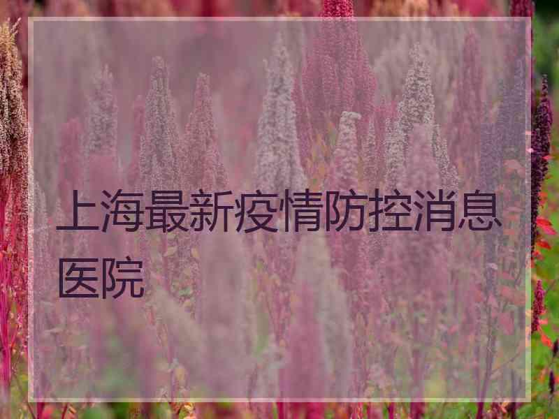 上海最新疫情防控消息医院