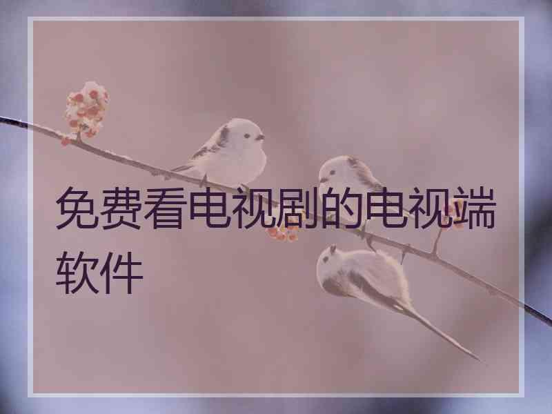 免费看电视剧的电视端软件