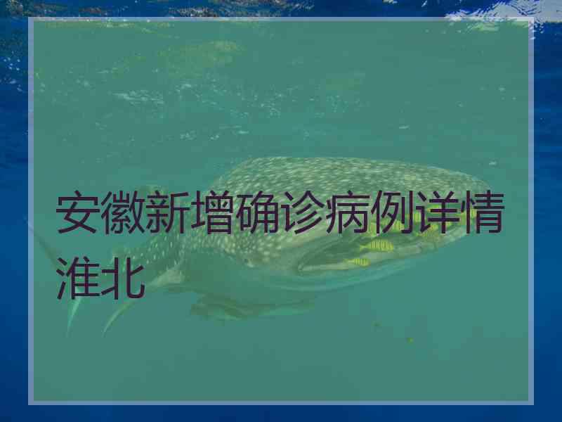 安徽新增确诊病例详情淮北
