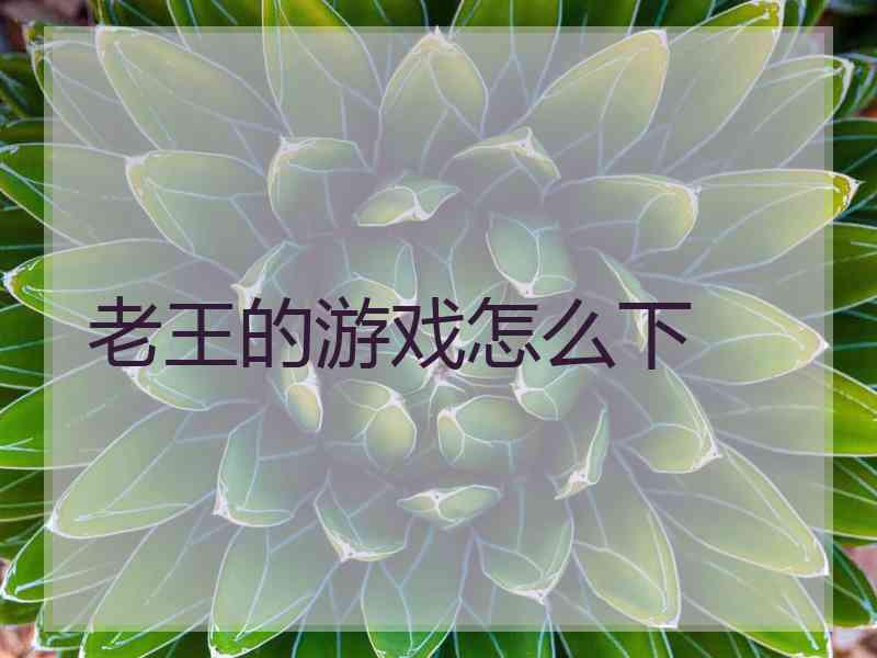 老王的游戏怎么下